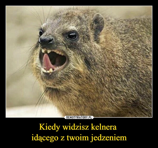 
    Kiedy widzisz kelnera 
idącego z twoim jedzeniem