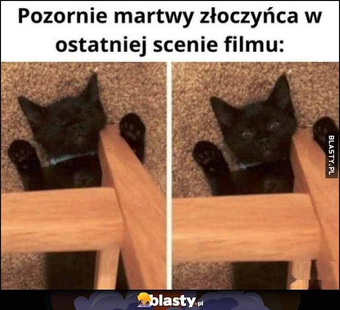 
    Kot kotek pozornie martwy złoczyńca w ostatniej scenie filmu otwiera oczy