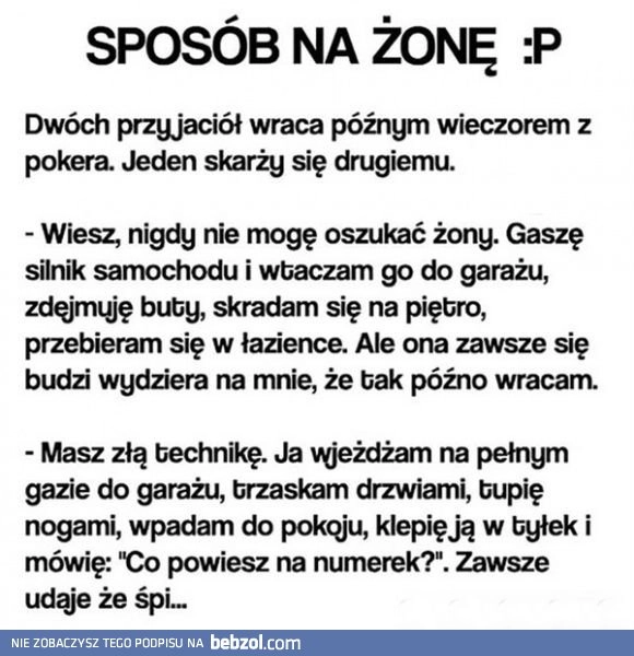 
    Sposób na żonę