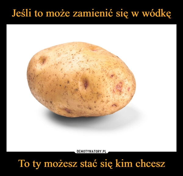 
    Jeśli to może zamienić się w wódkę To ty możesz stać się kim chcesz