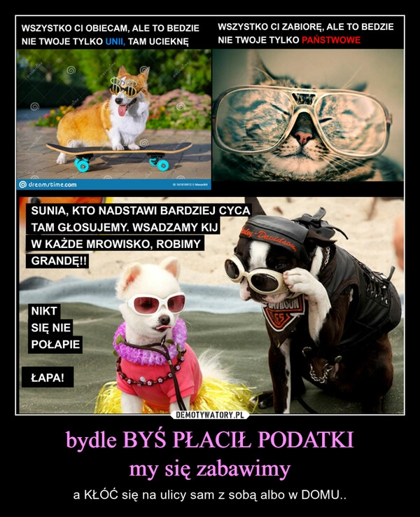 
    bydle BYŚ PŁACIŁ PODATKI
my się zabawimy