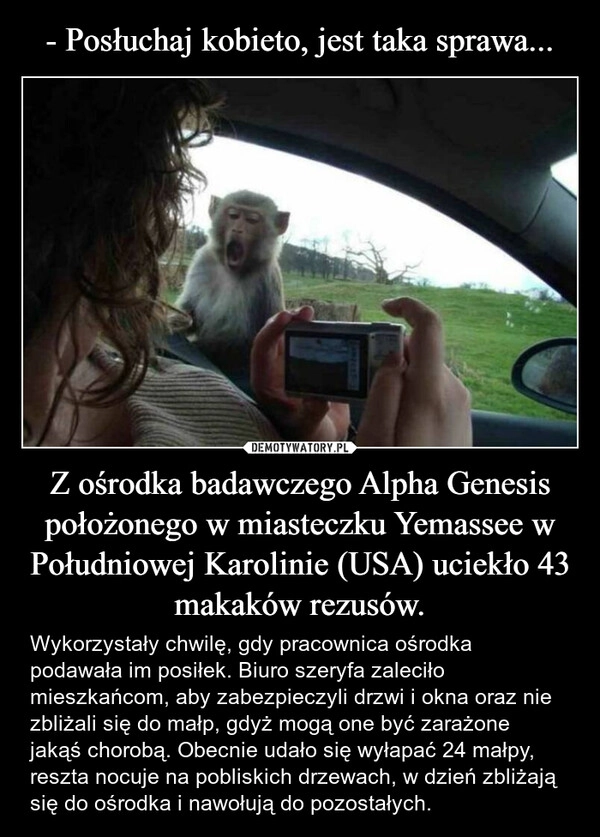 
    - Posłuchaj kobieto, jest taka sprawa... Z ośrodka badawczego Alpha Genesis położonego w miasteczku Yemassee w Południowej Karolinie (USA) uciekło 43 makaków rezusów.