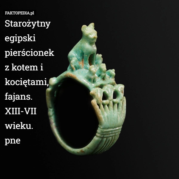 
    Starożytny egipski pierścionek z kotem i kociętami, fajans. XIII-VII wieku.