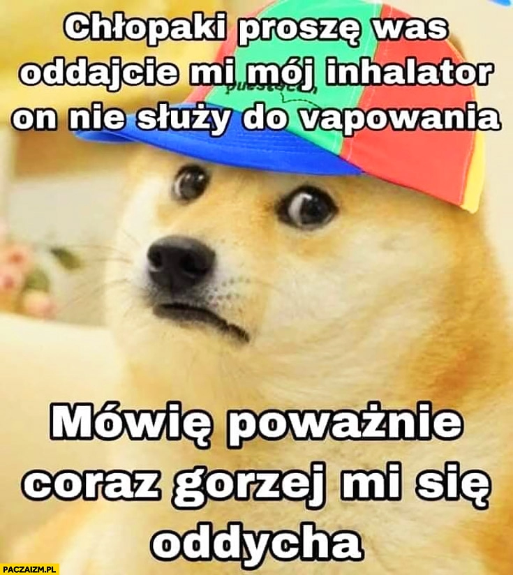 
    Chłopaki proszę was oddajcie mi mój inhalator on nie służy do vapowania mowie poważnie coraz gorzej mi się oddycha smutny pieseł doge