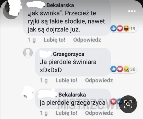 
    Świniara