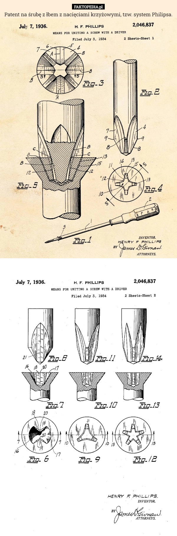 
    Patent na śrubę z łbem z nacięciami krzyżowymi, tzw. system Philipsa.