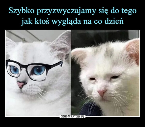 
    Szybko przyzwyczajamy się do tego jak ktoś wygląda na co dzień