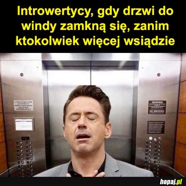 
    Jak dobrze