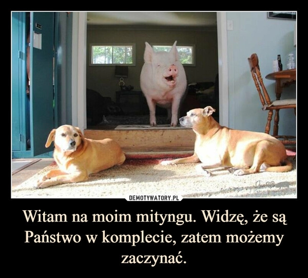 
    Witam na moim mityngu. Widzę, że są Państwo w komplecie, zatem możemy zaczynać.