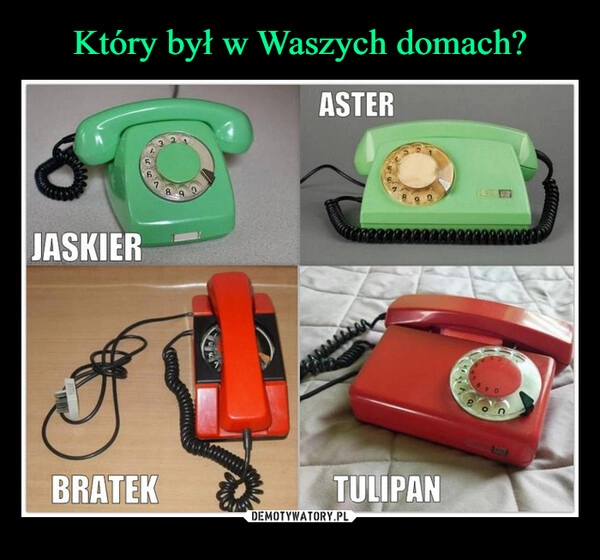 
    Który był w Waszych domach?