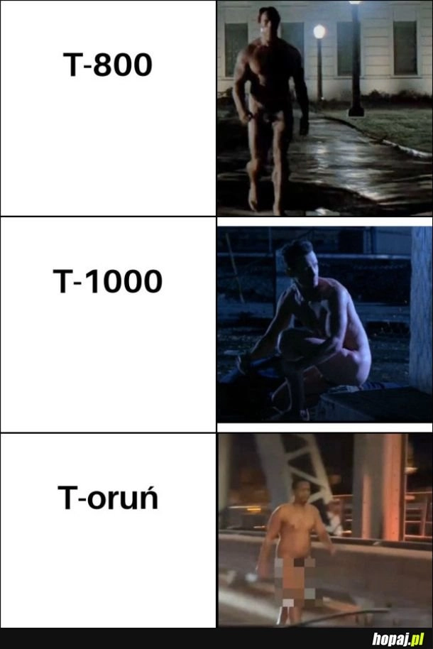 Mamy terminatora w domu