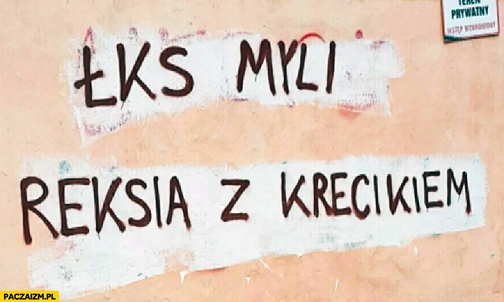 
    ŁKS myli Reksia z Krecikiem napis na murze