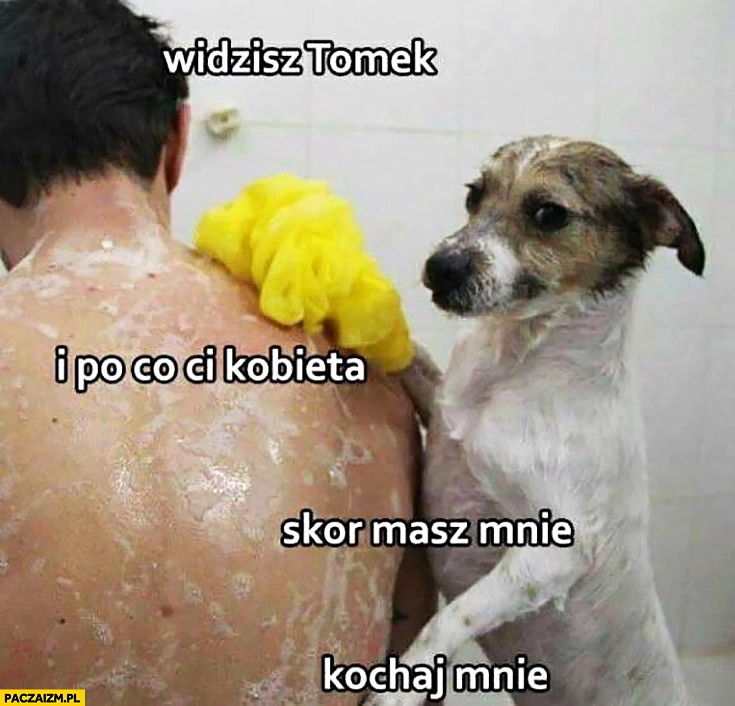 
    Widzisz Tomek i po co Ci kobieta skoro masz mnie? Kochaj mnie pies piesek