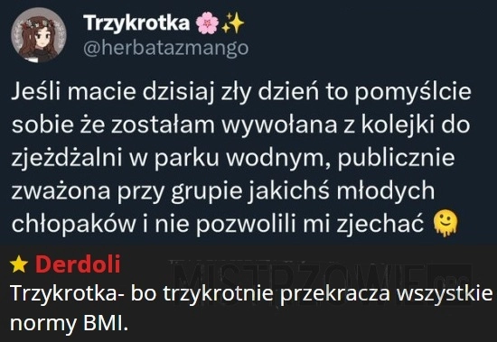 
    Zjeżdżalnia