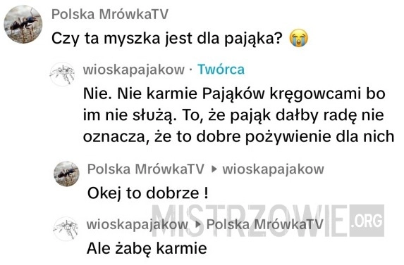 
    Myszka