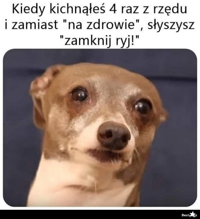 
    No dzięki 