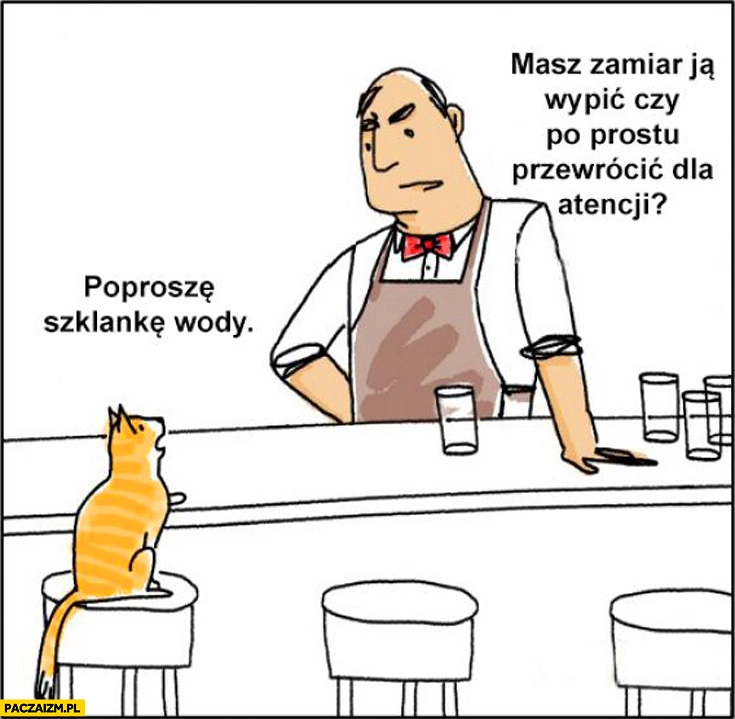 
    Kot poproszę szklankę wody masz zamiar ją wypić czy po prostu przewrocić dla atencji
