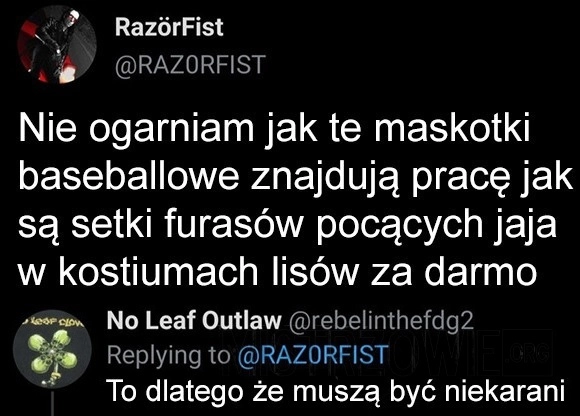 
    Maskotki