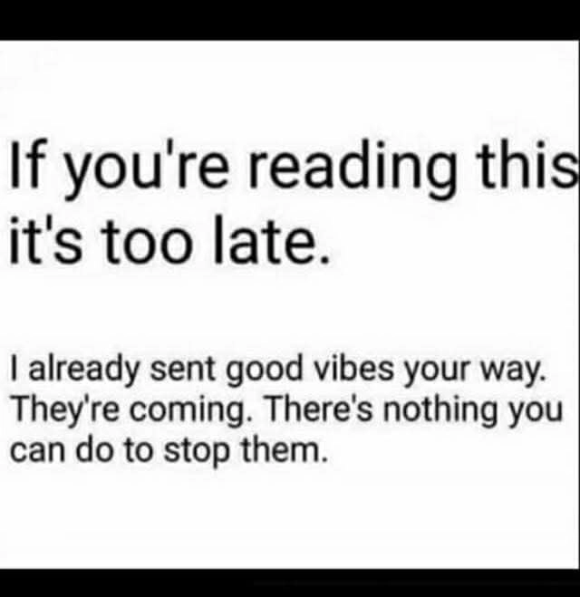 
    Fk you..but also..love you