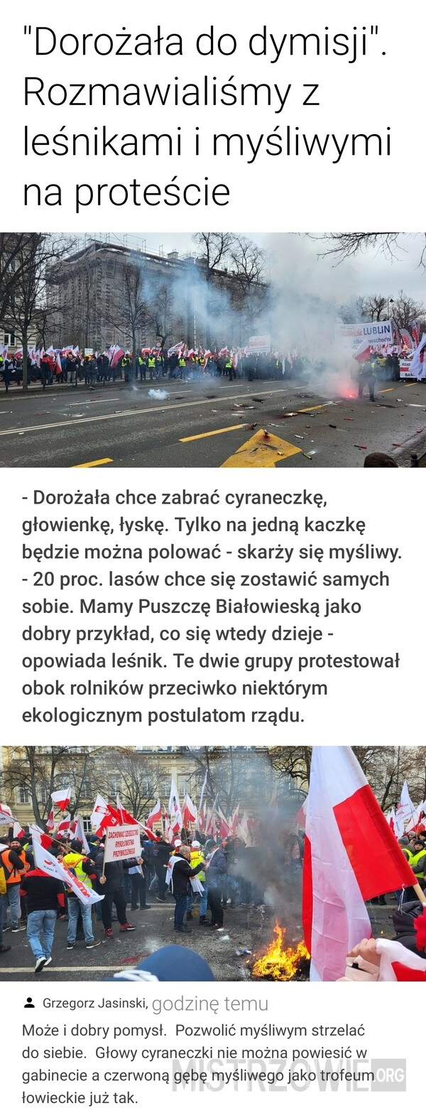 
    Cyraneczka