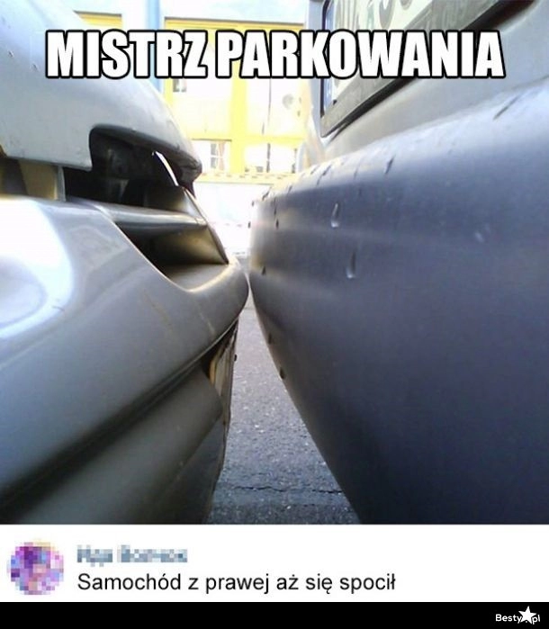 
    Mistrz parkowania 