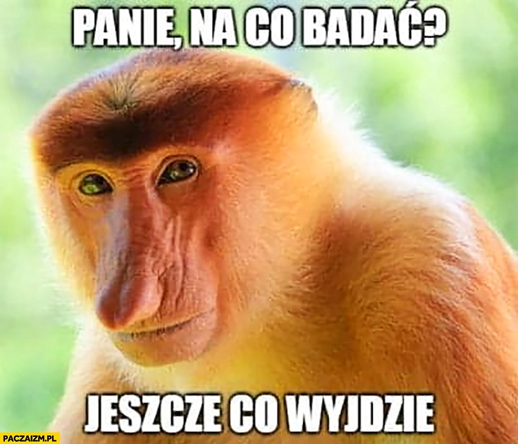 
    Panie na co badać jeszcze co wyjdzie typowy Polak nosacz małpa