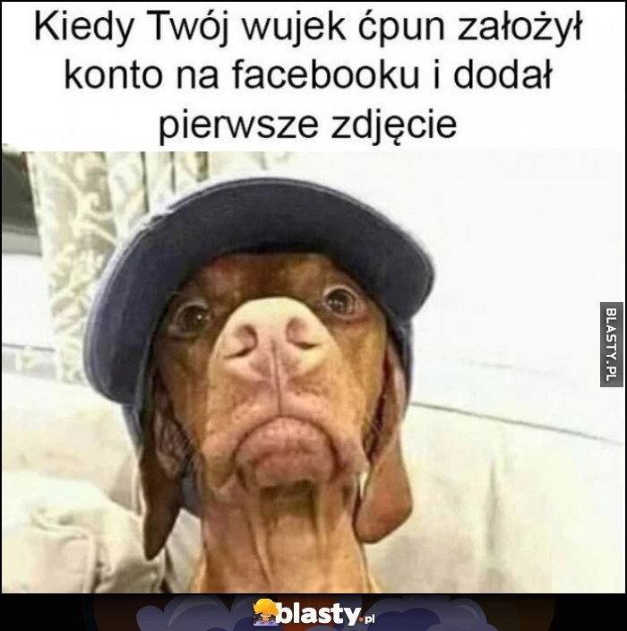 
    Kiedy Twój wujek ćpun założył konto na facebooku i dodał pierwsze zdjęcie pies w czapce