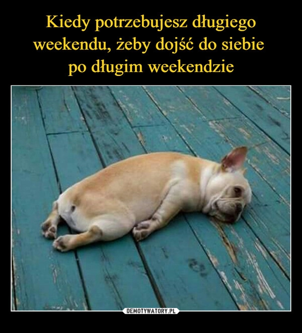 
    Kiedy potrzebujesz długiego weekendu, żeby dojść do siebie 
po długim weekendzie