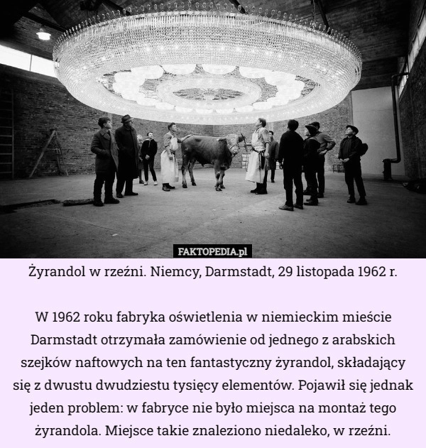 
    Żyrandol w rzeźni. Niemcy, Darmstadt, 29 listopada 1962 r. W 1962 roku...