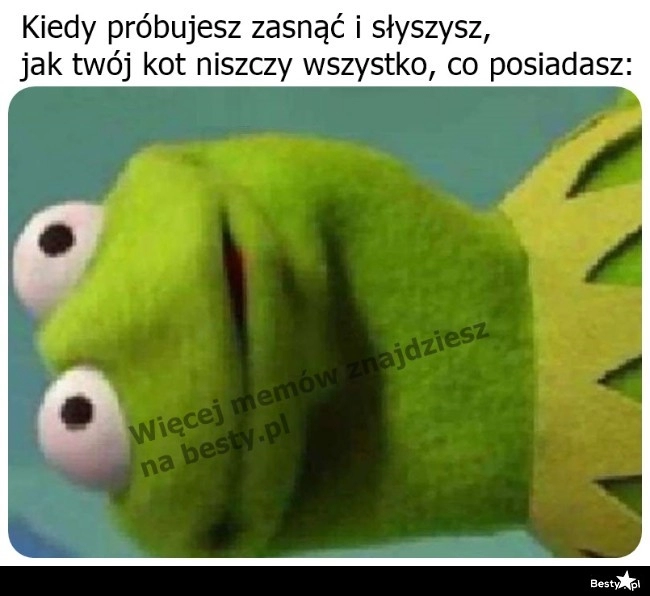 
    Znowu szaleje 