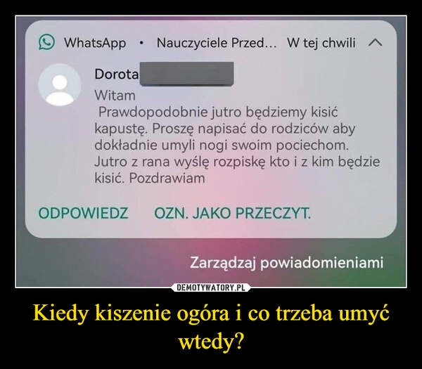 
    Kiedy kiszenie ogóra i co trzeba umyć wtedy?