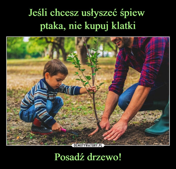 
    Jeśli chcesz usłyszeć śpiew 
ptaka, nie kupuj klatki Posadź drzewo!