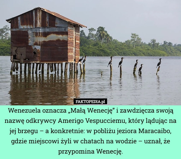 
    Wenezuela oznacza „Małą Wenecję” i zawdzięcza swoją nazwę odkrywcy Amerigo