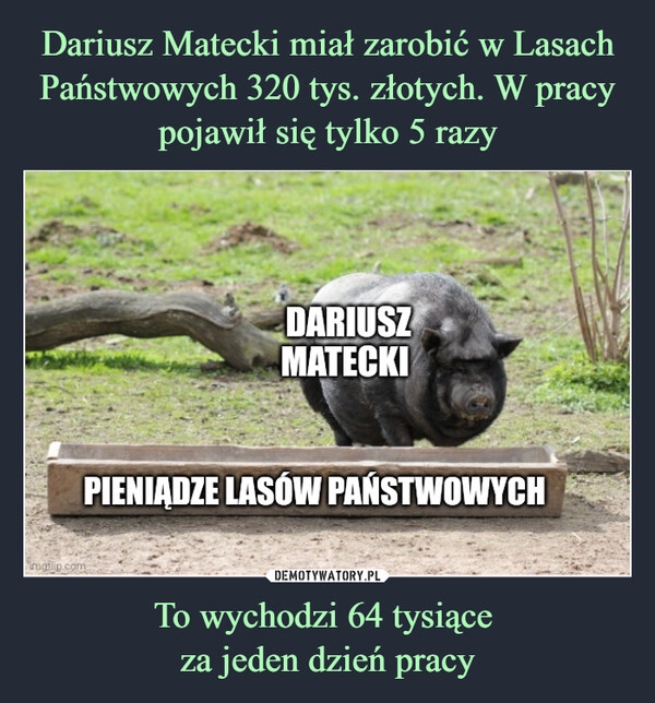 
    Dariusz Matecki miał zarobić w Lasach Państwowych 320 tys. złotych. W pracy pojawił się tylko 5 razy To wychodzi 64 tysiące 
za jeden dzień pracy