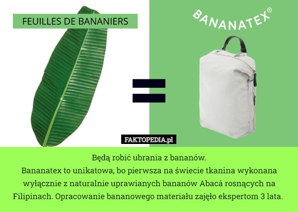 
    Będą robić ubrania z bananów.
Bananatex to unikatowa, bo pierwsza na świecie