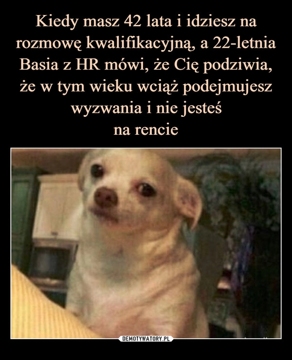 
    Kiedy masz 42 lata i idziesz na rozmowę kwalifikacyjną, a 22-letnia Basia z HR mówi, że Cię podziwia, że w tym wieku wciąż podejmujesz wyzwania i nie jesteś
na rencie 