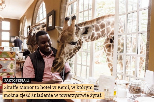 
    Giraffe Manor to hotel w Kenii, w którym można zjeść śniadanie w towarzystwie