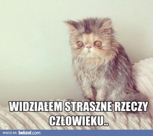 
    Straszne rzeczy