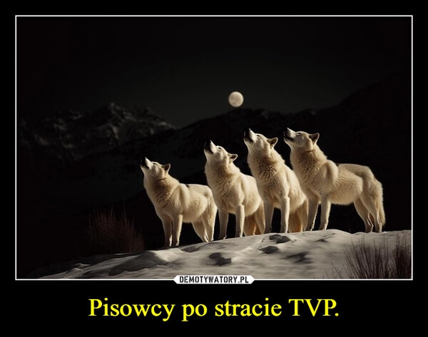 
    Pisowcy po stracie TVP.