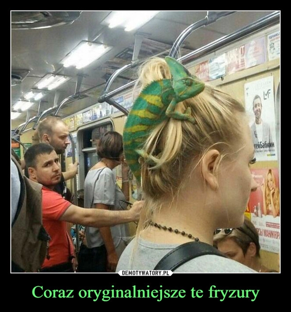 
    Coraz oryginalniejsze te fryzury