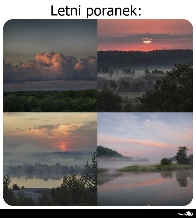 
    Letni poranek 