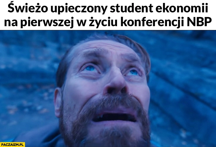 
    Świeżo upieczony student ekonomii na pierwszej w życiu konferencji NBP