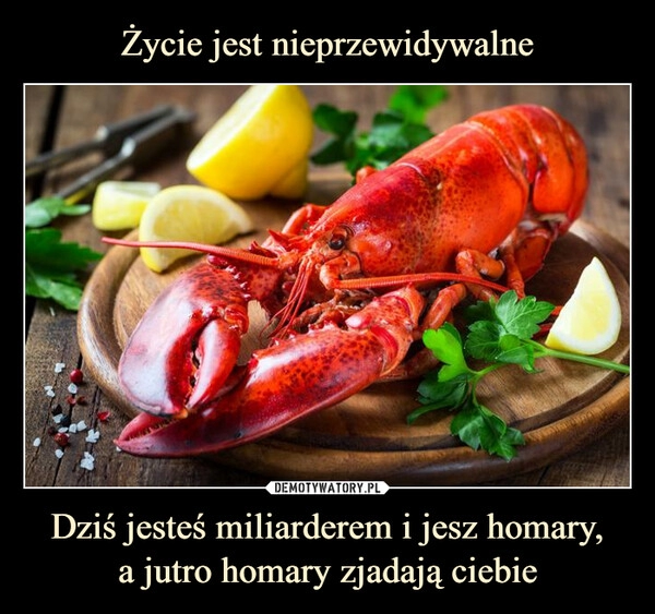 
    Życie jest nieprzewidywalne Dziś jesteś miliarderem i jesz homary,
a jutro homary zjadają ciebie