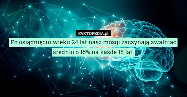 
    Po osiągnięciu wieku 24 lat nasz mózgi zaczynają zwalniać średnio o 15%