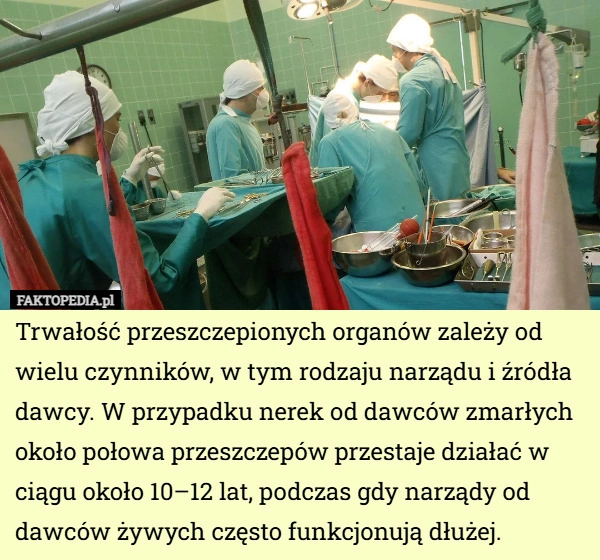 
    Trwałość przeszczepionych organów zależy od wielu czynników, w tym rodzaju...