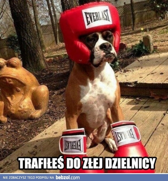 
    Nie podskakuj zią