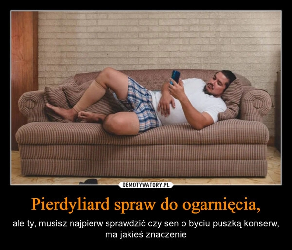 
    Pierdyliard spraw do ogarnięcia,