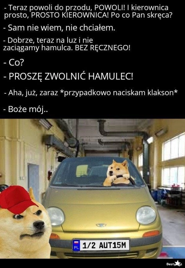 
    Na przeglądzie 