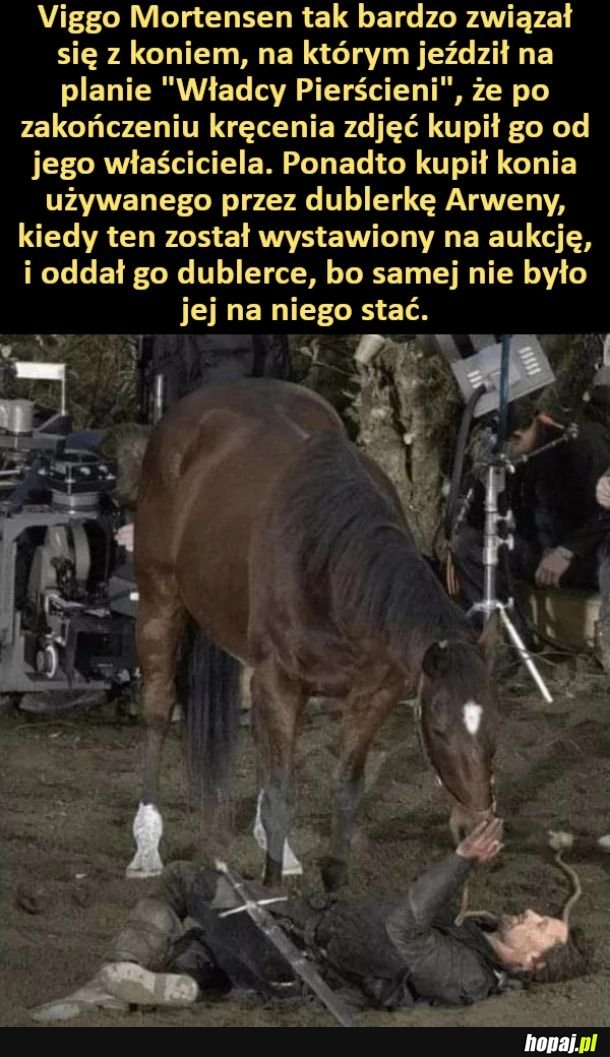 
    Viggo Mortensen kupił konia, na którym jeździł na planie "Władcy Pierścieni"