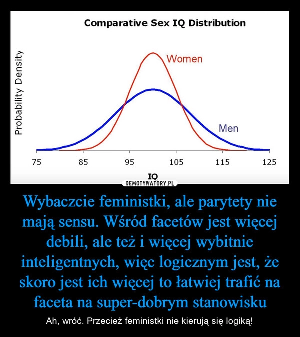 
    Wybaczcie feministki, ale parytety nie mają sensu. Wśród facetów jest więcej debili, ale też i więcej wybitnie inteligentnych, więc logicznym jest, że skoro jest ich więcej to łatwiej trafić na faceta na super-dobrym stanowisku